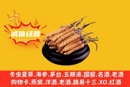 郴州北湖区回收冬虫夏草